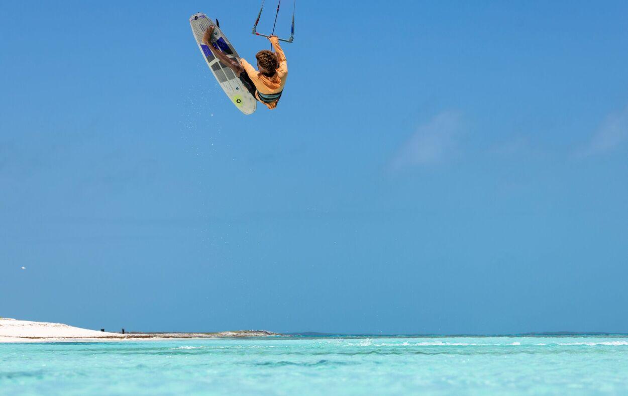 Whip D/LAB - Imagen 6