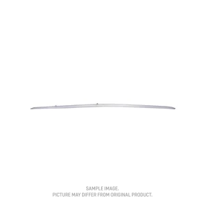 DTK-Bladder Leading Edge Evo (SS25)